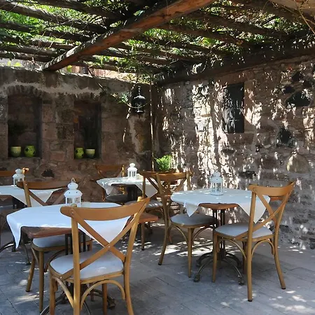 Derya Hanim Konagi *