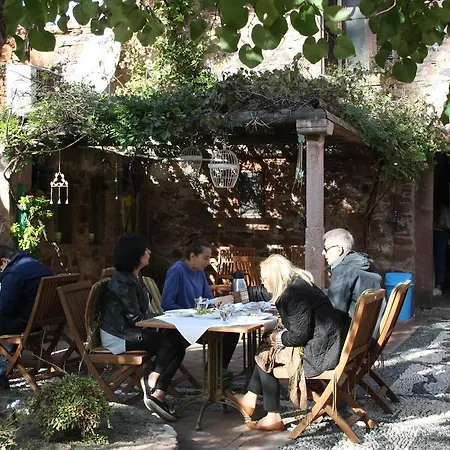 Derya Hanim Konagi *