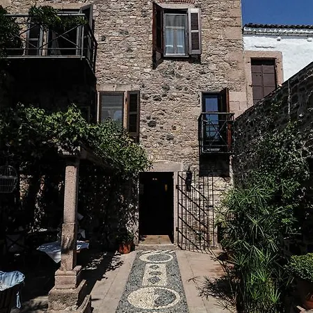 Derya Hanim Konagi *