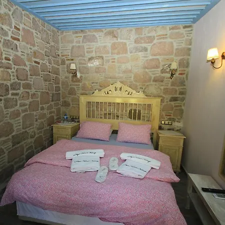 Derya Hanim Konagi *