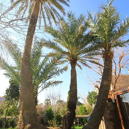 Гостевой дом Derya Hanim Konagi Айвалык