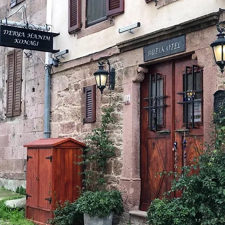 Derya Hanim Konagi *