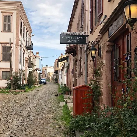 Гостевой дом Derya Hanim Konagi *