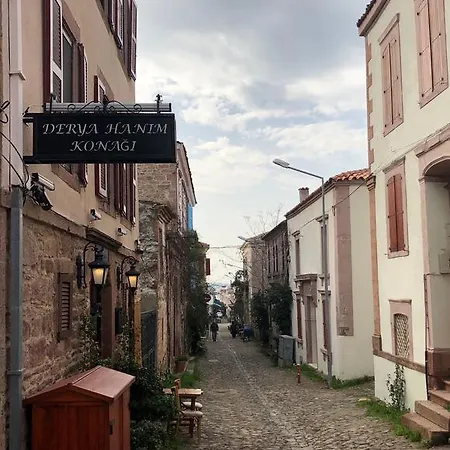 Гостевой дом Derya Hanim Konagi