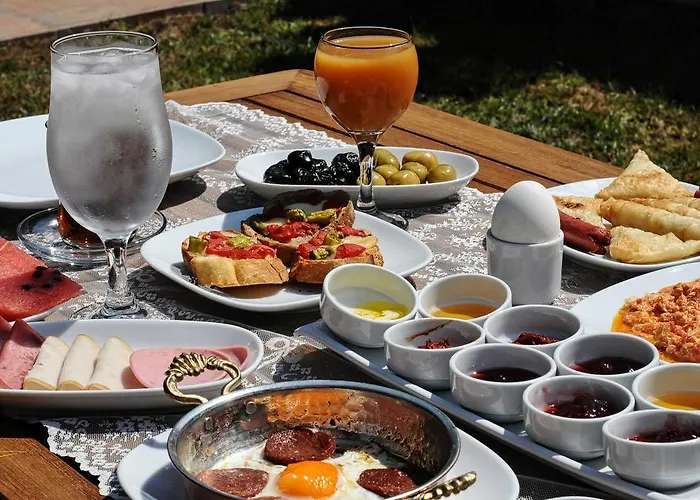 Derya Hanim Konagi *