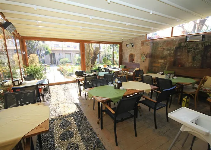 Derya Hanim Konagi *